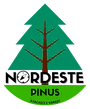 Nordeste Pinus
